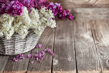 Hasır sepette leylak çiçekleri olan bahar kompozisyonu. Anneler ve kadınlar günü. Mesaj için yer var. Yatay oryantasyon. Hediye sepetleri ve çiçek teslimatları.