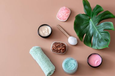 Renkli bir arka planda vücut bakım ürünleri olan bir spa kompozisyonu ve bir canavar yaprağı. Spa konsepti.
