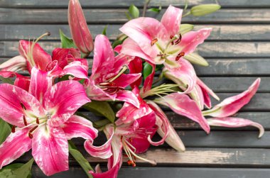 Güzel, kırmızı zambak çiçekleri, ahşap bir arka plana saçılmış, yakın plan..