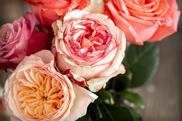 Farklı renklerde güzel taze güller yakın plan, çiçek arkaplan.