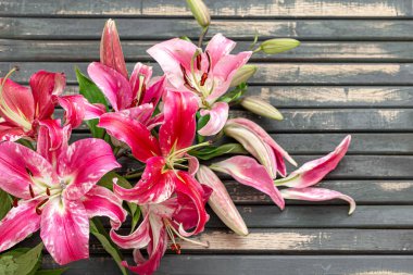 Güzel, kırmızı zambak çiçekleri, ahşap bir arka plana saçılmış, yakın plan..