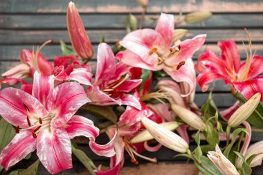 Güzel, kırmızı zambak çiçekleri, ahşap bir arka plana saçılmış, yakın plan..