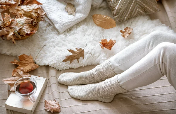 Cozy Autumn Home Woman Tea Book Resting Cozy Way Life — Stock Photo, Image