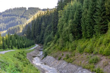 Yoğun yeşil ağaçların arasından bir dağ deresi boyunca rahat bir yürüyüş ve koşu yolu geçiyor. Sakin atmosfer, doğa ve sağlıklı yaşam tarzı.