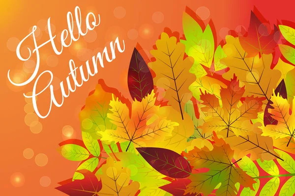 こんにちは秋。手描き自然葉異なる色の秋の葉. — ストックベクタ