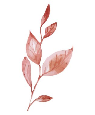 Sonbahar yaprakları. Sarı sonbahar bahçe yaprağı, kırmızı sonbahar yaprağı ve kurumuş yapraklar..