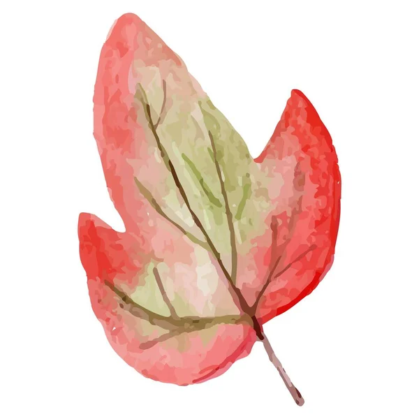 Foglie d'autunno. Foglia da giardino giallo autunno, foglia rossa autunno e foglie secche cadute. — Vettoriale Stock
