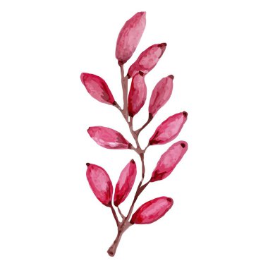 Renkli sonbahar meyveleri. Suluboya biçimi, vektör illüstrasyonu.