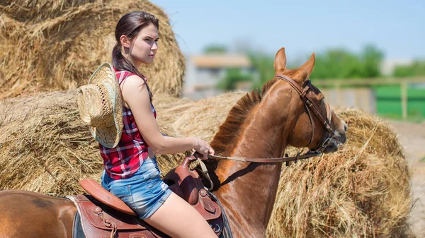 年轻美丽的女人骑着可爱的马 — 图库照片