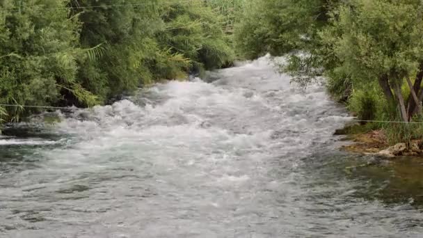 沸腾的山区河流 — 图库视频影像