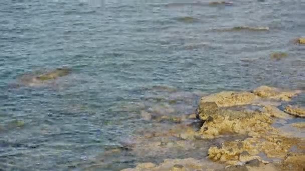 Belle plage au bord de la mer 