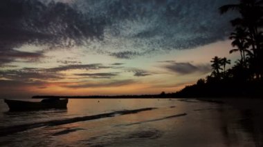 Tropikal ada plajı ve palmiye ağaçları üzerinde gün doğumu