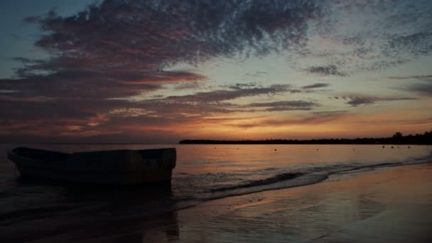 Восход солнца над тропическим островным пляжем и пальмами — стоковое видео