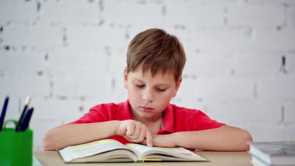 Een schooljongen lezen een leerboek — Stockvideo