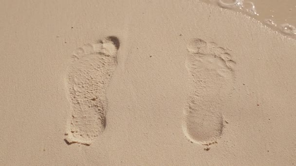 Empreintes de pas dans le sable sur l'océan — Video