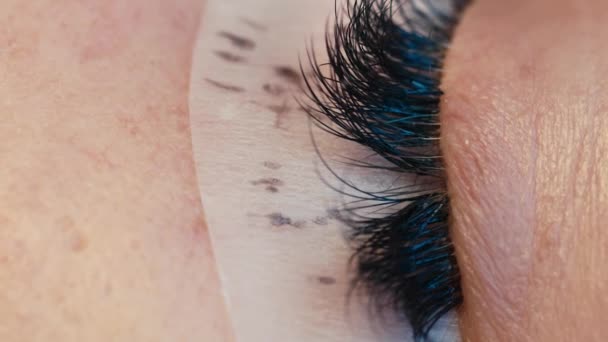 Extension des cils sur l'œil féminin .