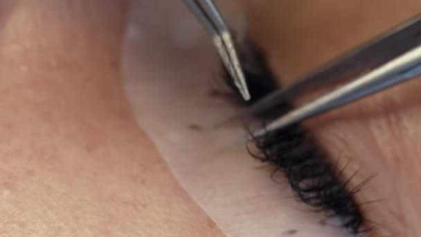 Extensión de pestañas en el ojo femenino . — Vídeos de Stock
