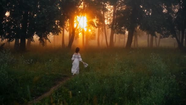 Όμορφο κορίτσι με ένα λευκό φόρεμα στο ηλιόλουστο καλοκαιρινό δάσος. — Αρχείο Βίντεο