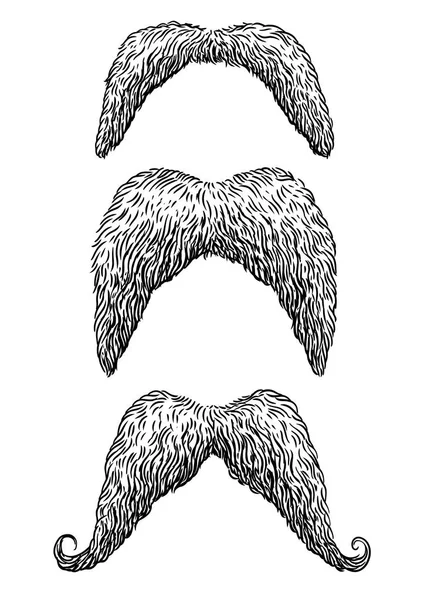 Mustasch Illustration Teckning Gravyr Bläck Konturteckningar Vektor — Stock vektor