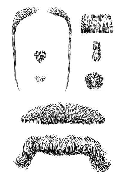 Mustasch Illustration Teckning Gravyr Bläck Konturteckningar Vektor — Stock vektor