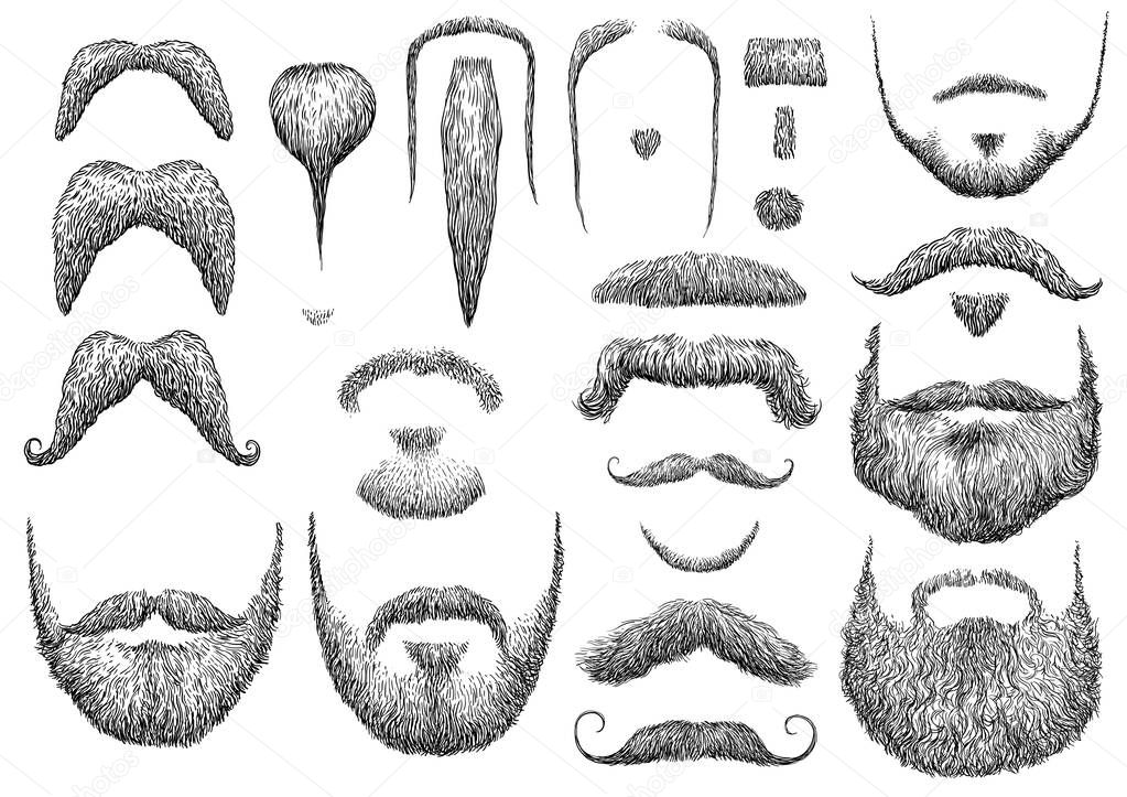 Beard illustration, drawing, engraving, ink, line art, vector