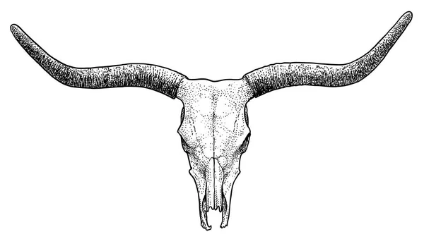 Bull Skull Illustration Drawing Engraving Ink Line Art Vector — Stock Vector