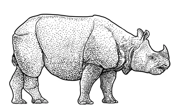 Rinoceronte Indiano Illustrazione Disegno Incisione Inchiostro Linea Arte Vettore — Vettoriale Stock