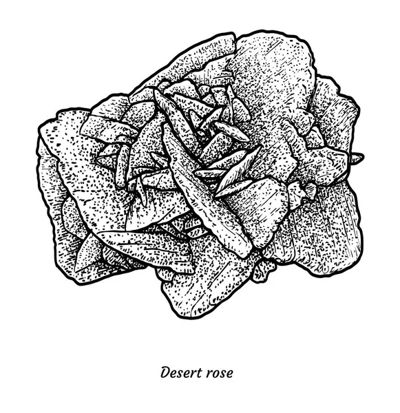 Desert Rose Illustration Drawing Engraving Ink Line Art Vector — Stock Vector