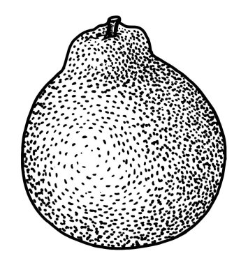 Tangelo çizim, çizim, gravür, mürekkep, hat sanatı, vektör