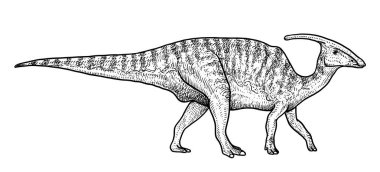 Parasaurolophus çizim, çizim, gravür, mürekkep, hat sanatı, vektör