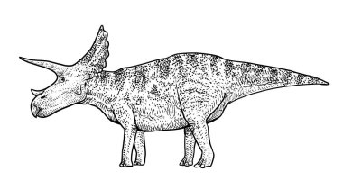 Triceratops çizim, çizim, gravür, mürekkep, hat sanatı, vektör