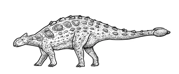 Ankylosaurus Ilustración Dibujo Grabado Tinta Arte Línea Vector — Vector de stock