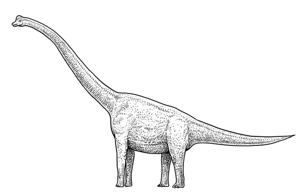 Brachiosaurus Illustration Drawing Engraving Ink Line Art Vector — Stock Vector