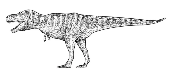 Tyrannosaurus Ilustración Dibujo Grabado Tinta Arte Línea Vector — Vector de stock