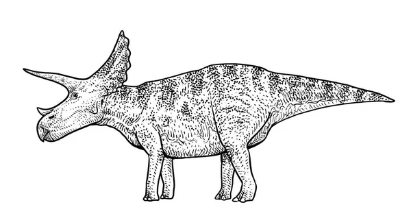 Triceratops Illustrazione Disegno Incisione Inchiostro Line Art Vettore — Vettoriale Stock