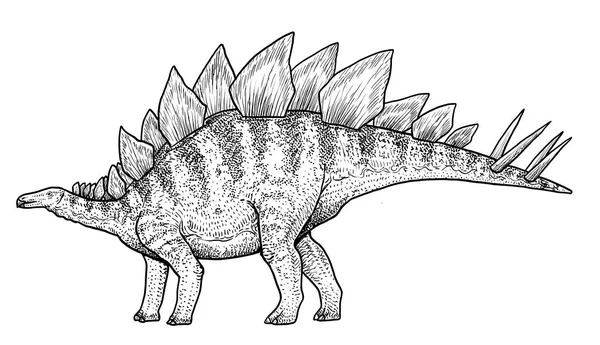 Stegosaurus Illustration Drawing Engraving Ink Line Art Vector - Stok Vektor