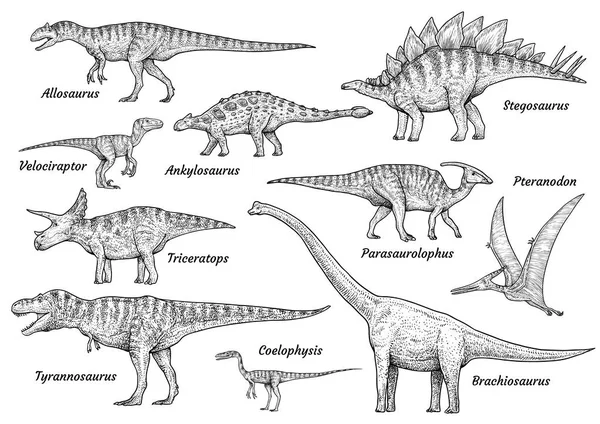 Sbírkami Dinosauřích Ilustrace Kresba Gravírování Inkoust Perokresby Vektor — Stockový vektor