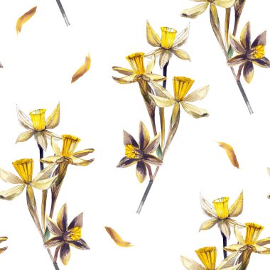 Nergis Dikişsiz Desen. Suluboya Arka Plan. Narcissus çiçek ile dikişsiz duvar kağıdı. Suluboya illüstrasyon.