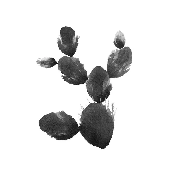 Cactus pintura aquarela. Mão desenhada. Ilustração isolada . — Fotografia de Stock