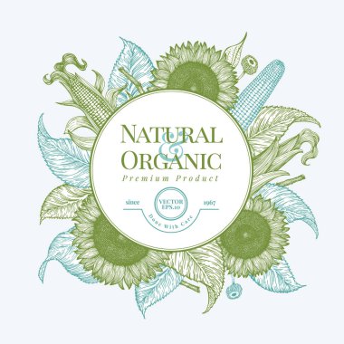 Ayçiçek ve Mısır logo şablonu. Ayçiçeği banner tasarımı. Çizilen illüstrasyon vektör ver. Organik ve doğal ürünler, Restoran ve kafe kullanmak olabilir.