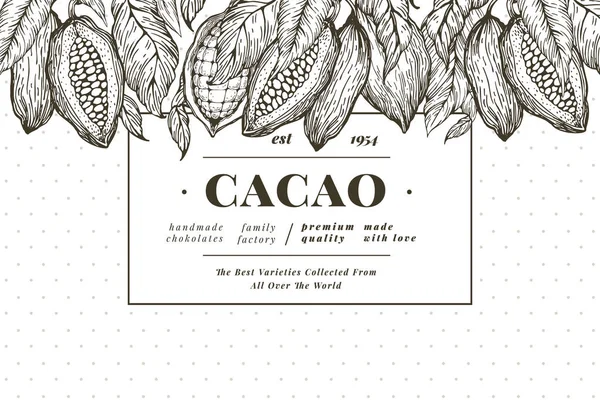 Plantilla de banner de árbol de haba de cacao. Fondo de cacao de chocolate. Ilustración dibujada a mano vectorial. Ilustración de estilo vintage . — Vector de stock