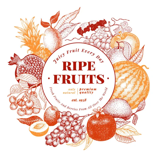 Owoce i jagody ręcznie rysowane wektor ilustracja. Konstrukcja ramy wygrawerowane w stylu retro. Może być używany dla menu, etykiety, opakowania, farmy rynku produktów. — Wektor stockowy