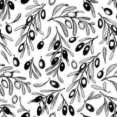Zeytin ağacı seamless modeli. Vektör antika arka plan. El oyulmuş tarzı resimde çekilmiş. Tasarım zeytinyağı, zeytin paketleme, doğal kozmetik, sağlık ürünleri için. Retro tarzı görüntü.