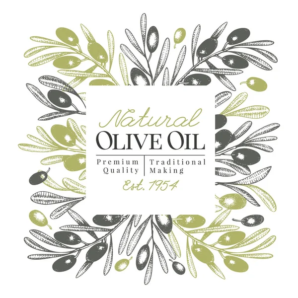 Modelo de banner de oliveira. Ilustração vintage vetorial. Quadro de estilo gravado desenhado à mão. Concepção de azeite, embalagem de azeitona, cosméticos naturais, produtos de saúde. Imagem estilo retro . — Vetor de Stock