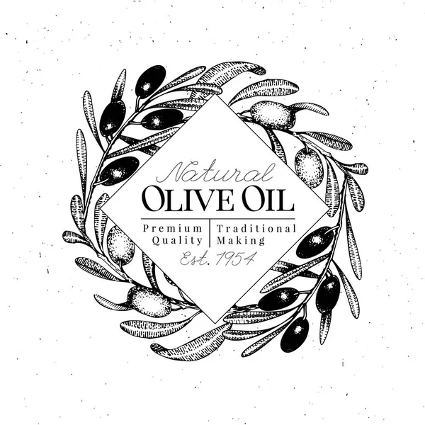 Шаблон логотипу оливкової гілки. Векторна вінтажна ілюстрація. Ручна гравірована рамка стилю. Дизайн для оливкової олії, оливкової упаковки, натуральної косметики, продуктів охорони здоров'я. Зображення в стилі ретро . — стоковий вектор