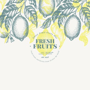 Limon ağacı banner şablon. El vektör meyve resimde çekilmiş. Oyulmuş tarzı. Vintage narenciye arka plan.