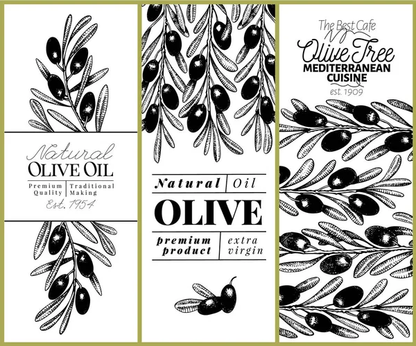 Set striscioni olivo. Illustrazione vintage disegnata a mano vettoriale. Progettazione per olio d'oliva, confezionamento olive, cosmetici naturali, prodotti sanitari. Immagine in stile retrò . — Vettoriale Stock