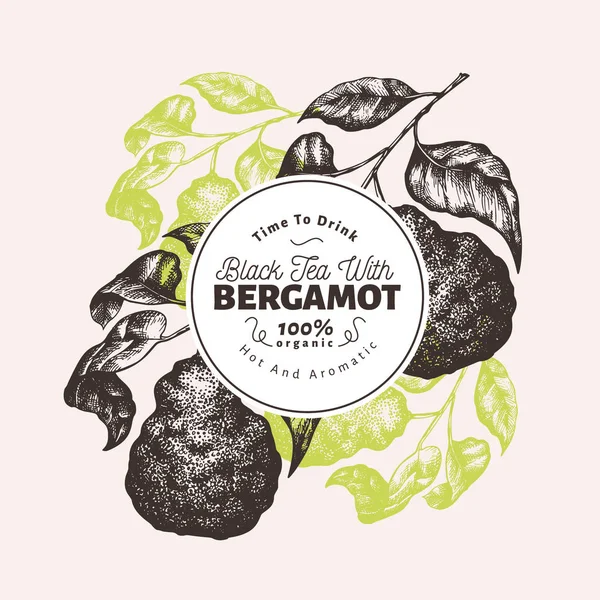 Bergamot branch design template. Kaffir lime frame. Hand drawn vector fruit illustration. Engraved style vintage citrus background. — Stock Vector