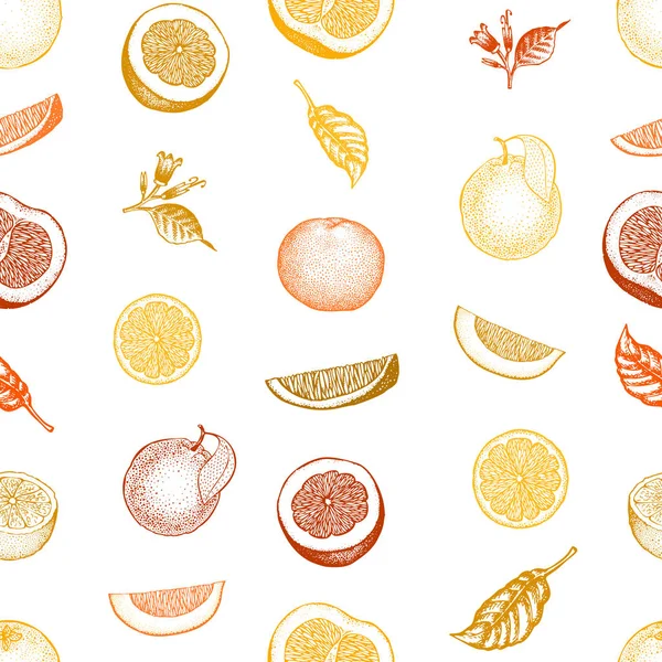 Patrón sin costura naranja. Fondo de fruta vector dibujado a mano. Estilo grabado. Ilustración de cítricos vintage . — Vector de stock