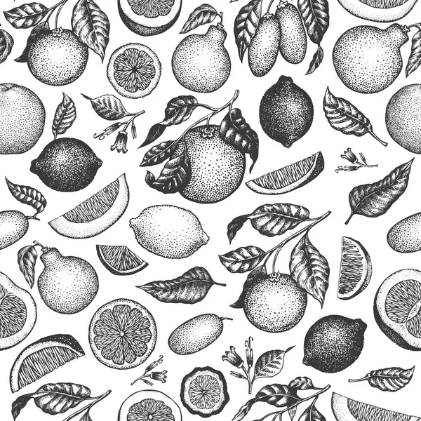 柑橘系の果物のシームレスなパターン。手には、ベクター フルーツのイラストが描かれました。刻まれたスタイル。ビンテージ シトラス背景. — ストックベクタ